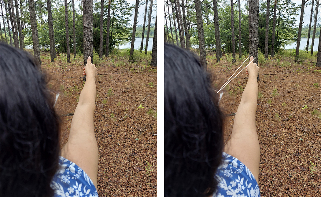 A woman uses her thumb to measure pine trees.